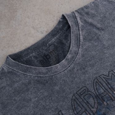 Remera Stonewashed Rayo albm  (Boxy/Crop)